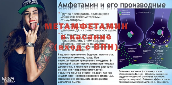 прущие грибы Дмитровск
